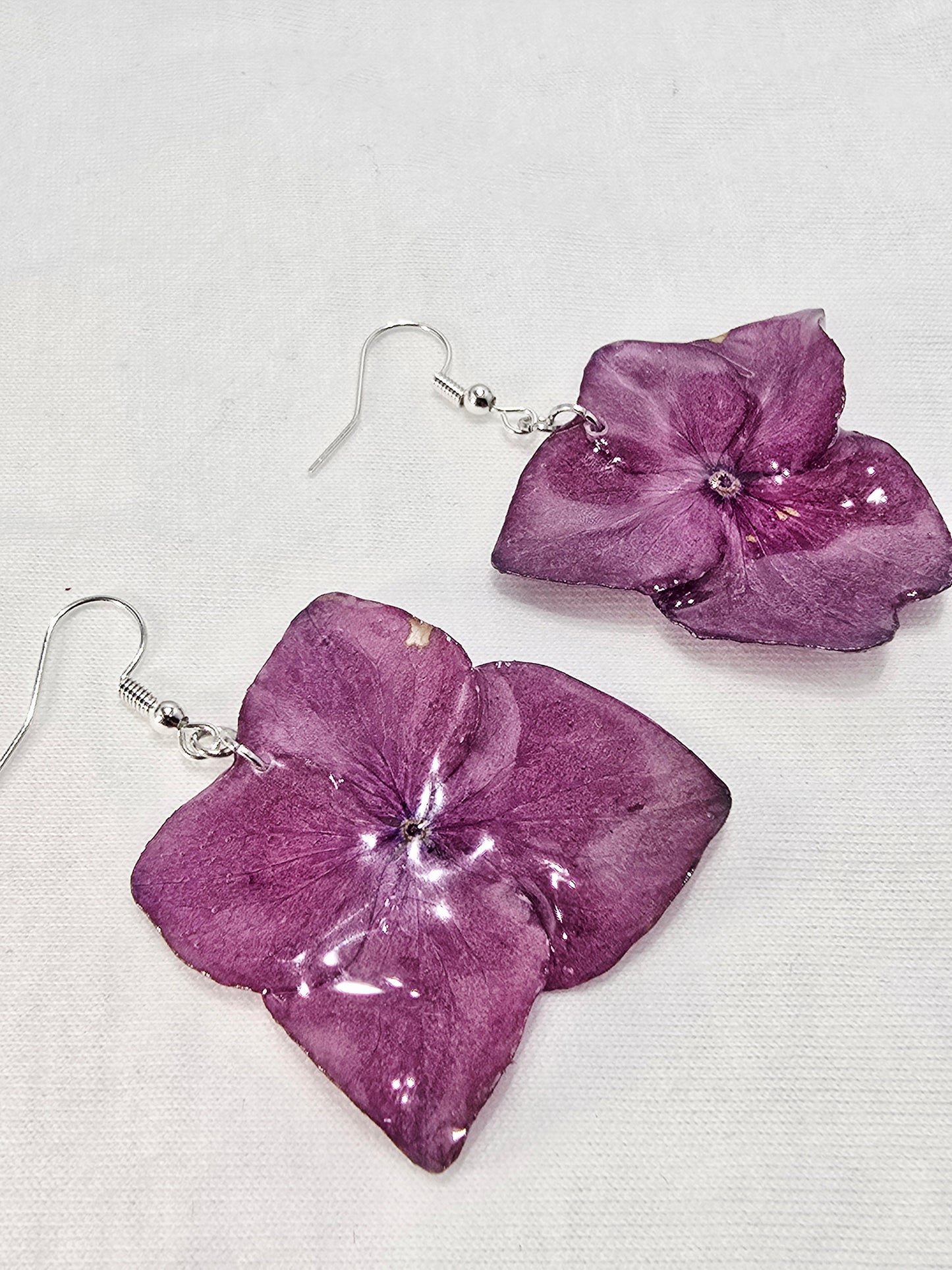 Real Hot Pink Hydrangea Dangle Earrings