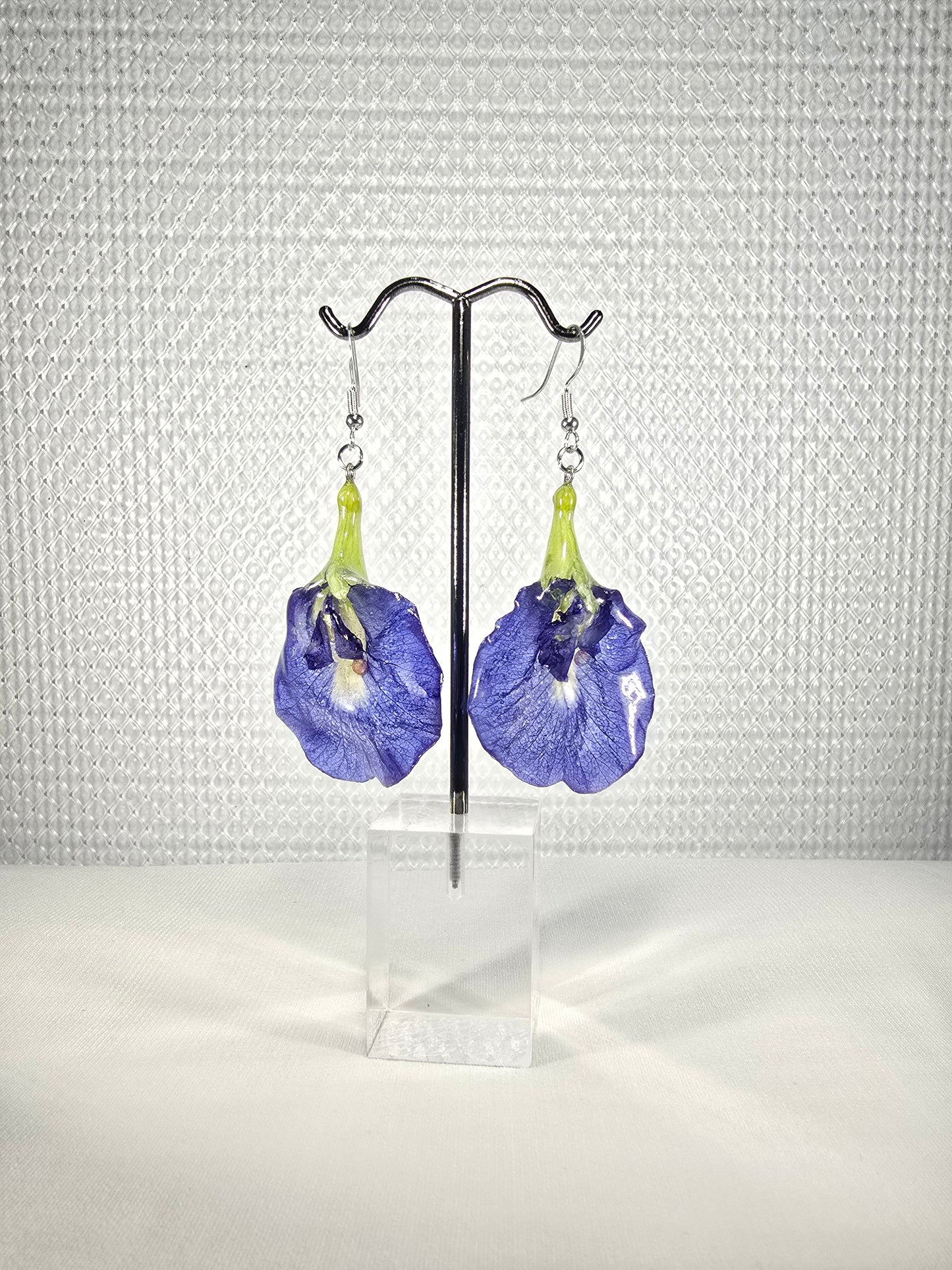 Real Butterfly Pea Flower Earrings