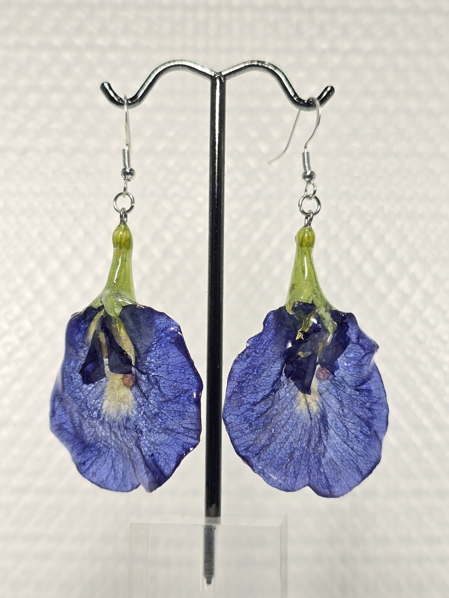 Real Butterfly Pea Flower Earrings