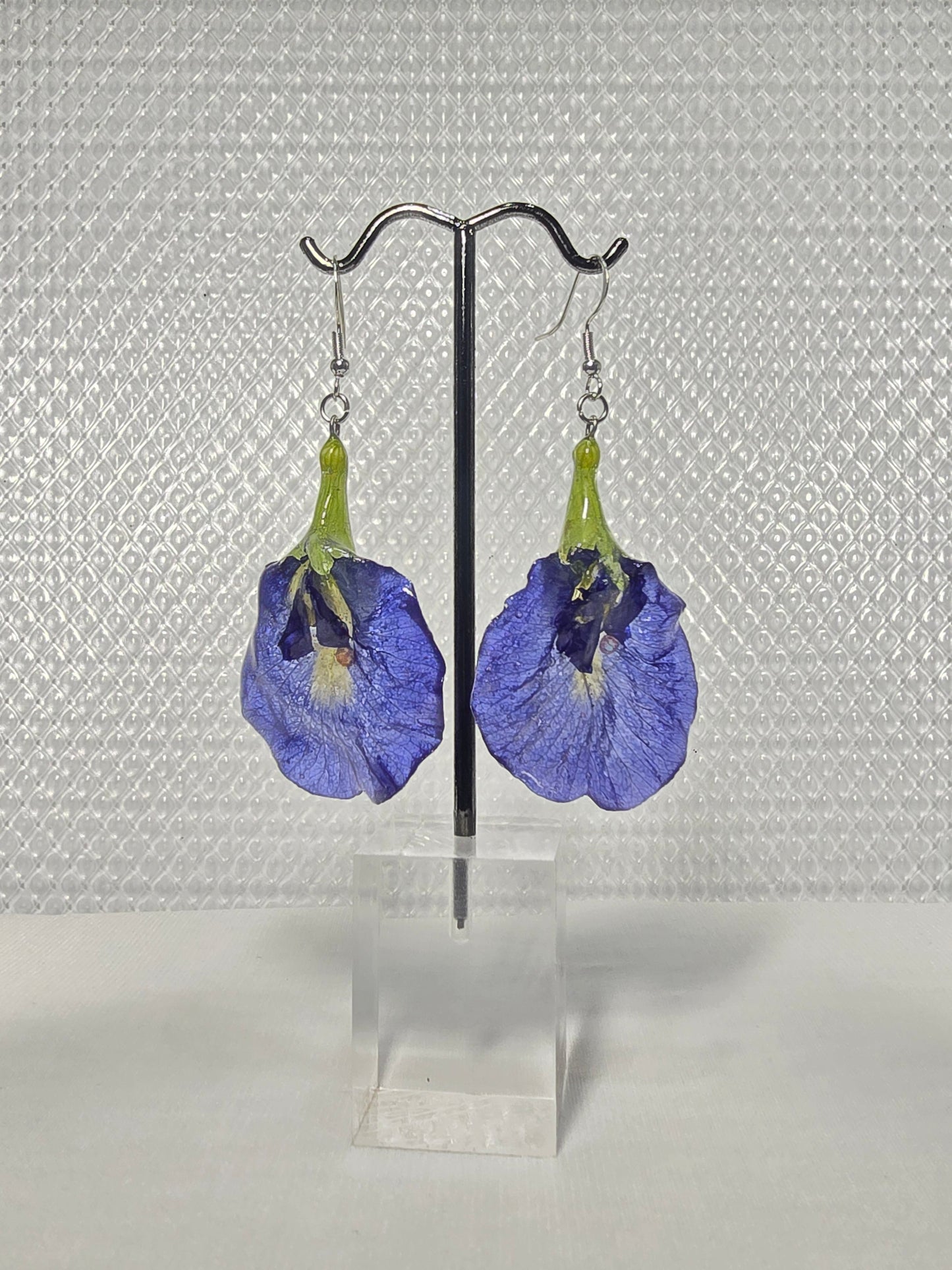 Real Butterfly Pea Flower Earrings