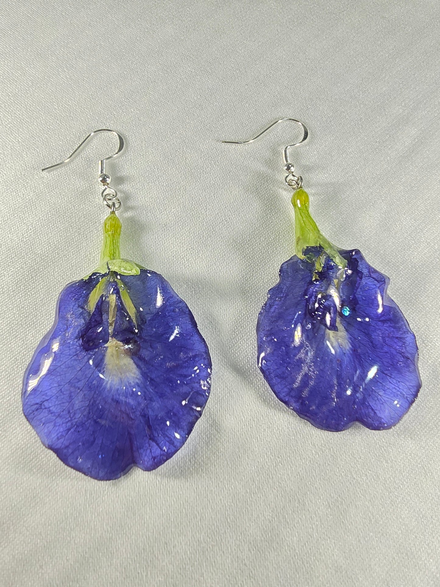 Real Butterfly Pea Flower Earrings