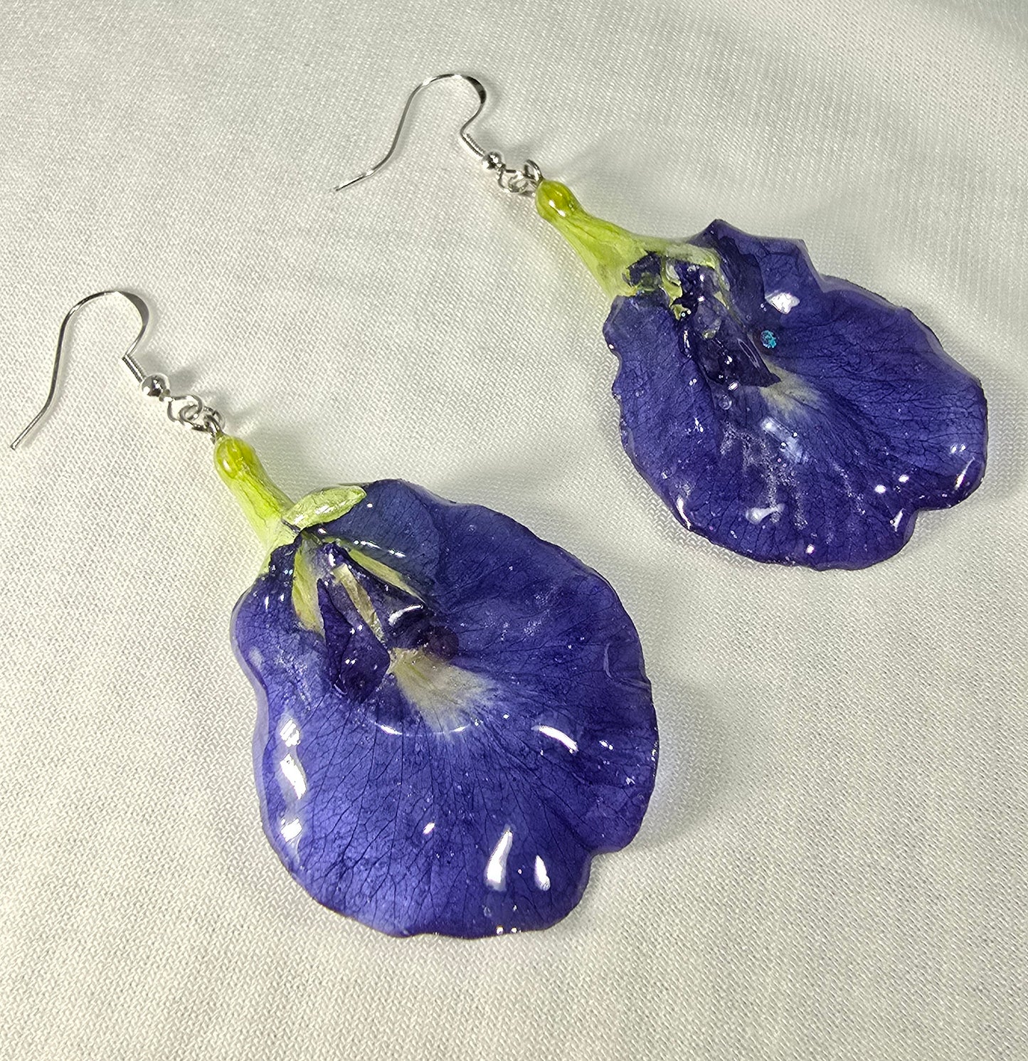 Real Butterfly Pea Flower Earrings